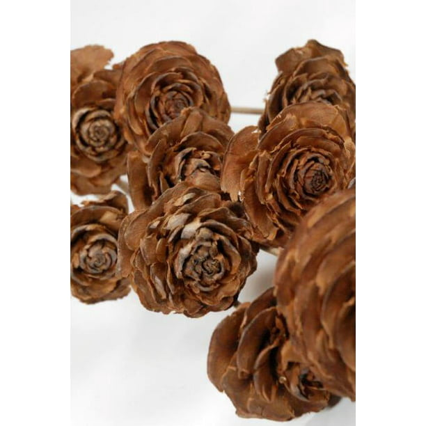 Cedar Roses with 18 stems 8 count